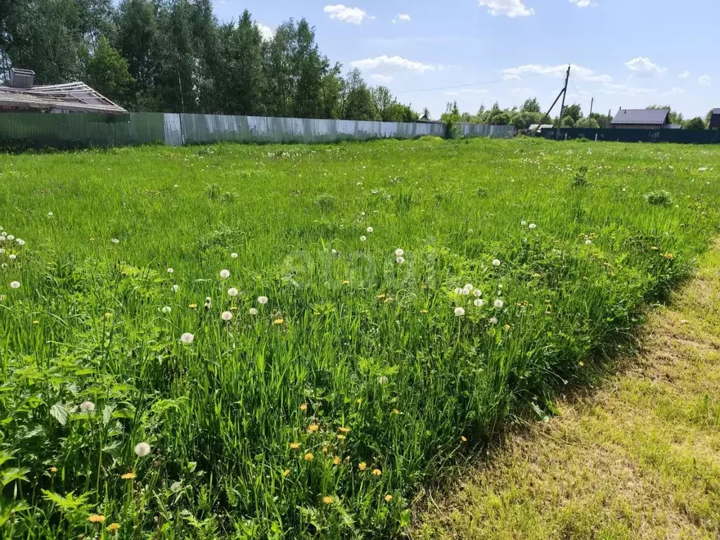 Участок в Московская область, Коломна городской округ, с. Горки  (9.1 ... - Фото 1