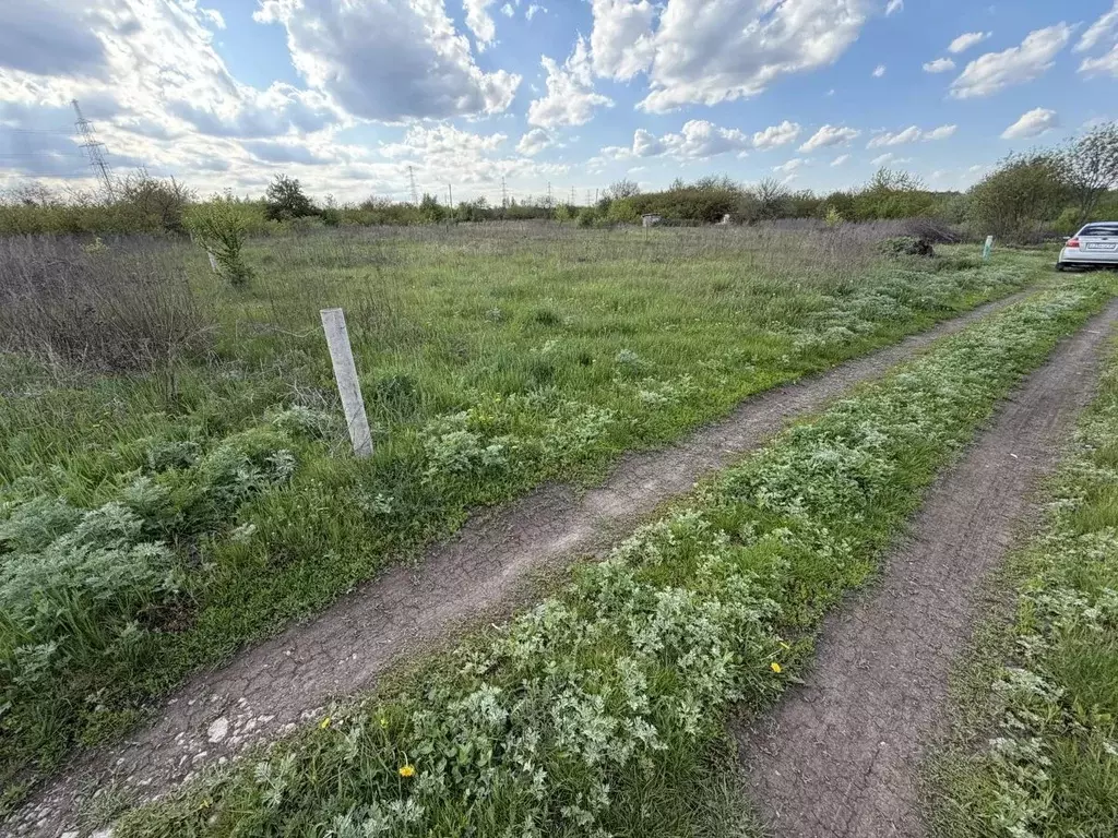 Участок в Белгородская область, Яковлевский муниципальный округ, ... - Фото 1
