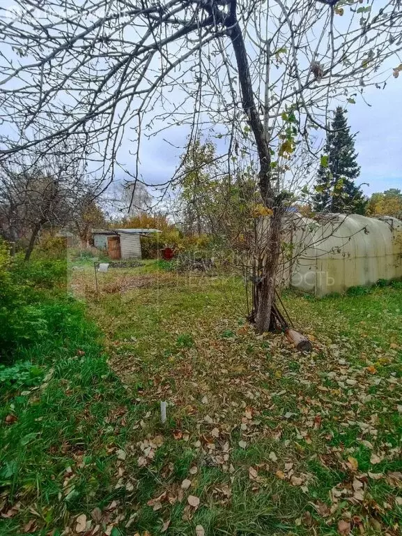Дом в Тюмень, садовое товарищество Берёзка (37 м) - Фото 1