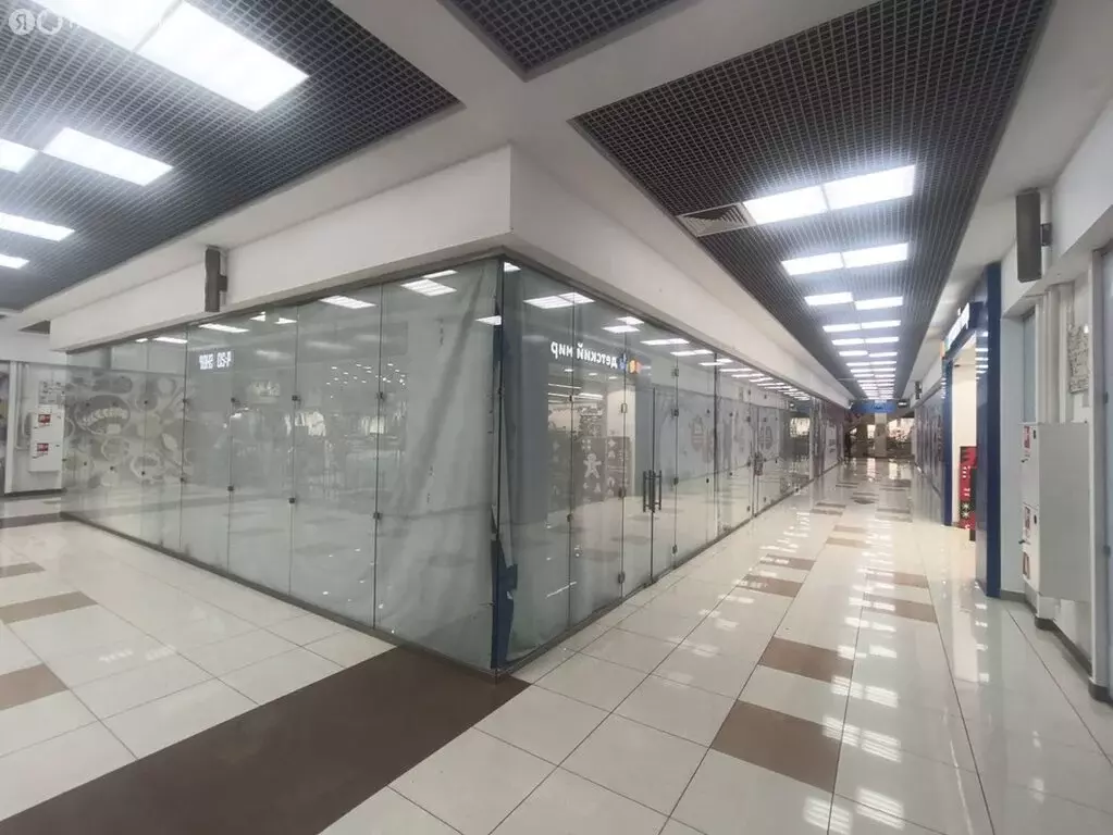 Торговая площадь (51.2 м) - Фото 1