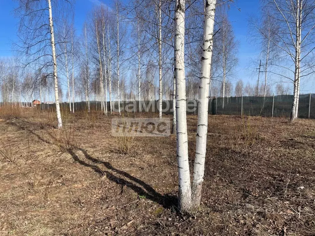 Участок в Пермский край, Добрянский городской округ, д. Залесная ул. ... - Фото 1