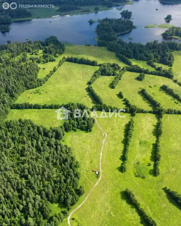 Участок в Ромашкинское сельское поселение, КП Вуоксаари (6.01 м) - Фото 1