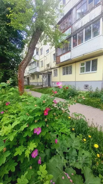 2-к кв. Пермский край, Пермь ул. Крупской, 87 (43.1 м) - Фото 1