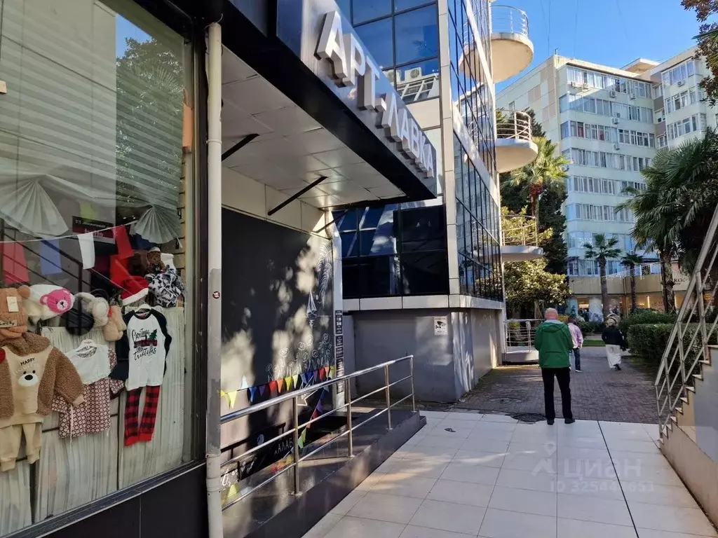 Офис в Краснодарский край, Сочи Центральный мкр, ул. Навагинская, 9Б ... - Фото 2