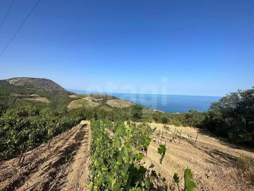 Участок в Крым, Алушта муниципальный округ, с. Малый Маяк  (8.0 сот.) - Фото 1