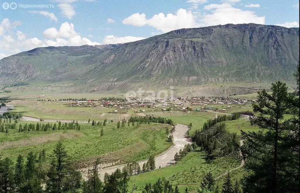 Участок в Улаганский район, село Чибит (12.3 м) - Фото 0