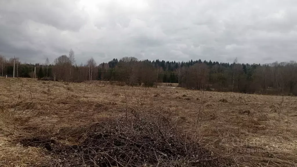 Участок в Московская область, Можайский муниципальный округ, д. ... - Фото 0