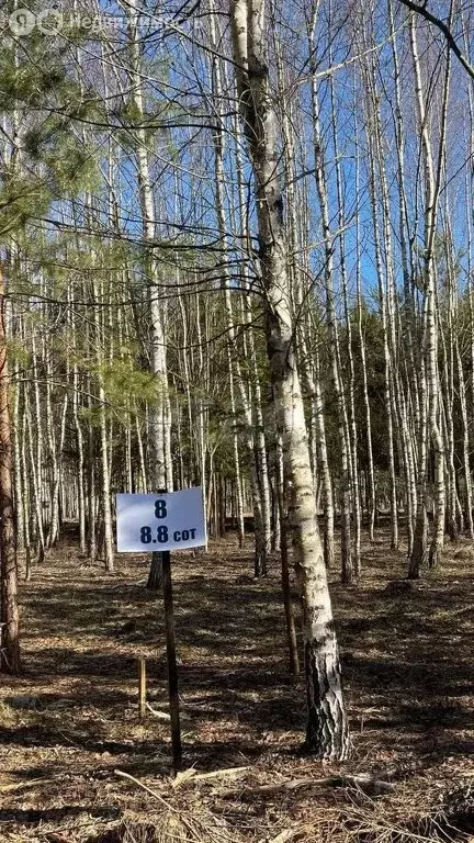 Участок в Московская область, городской округ Ступино, деревня ... - Фото 0