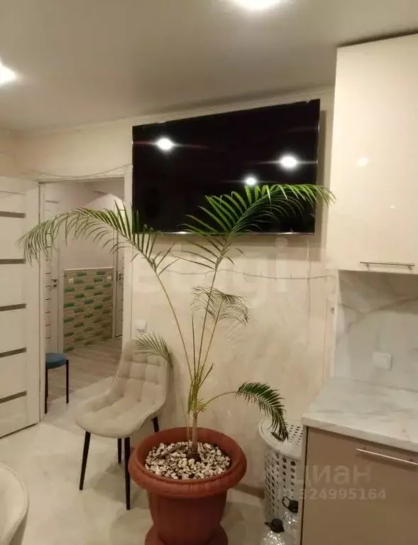 2-к кв. Владимирская область, Владимир ул. Новгородская, 3 (65.0 м) - Фото 0