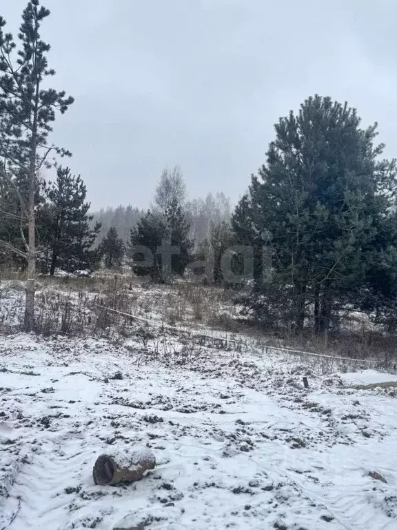 Участок в Владимирская область, Ковровский район, Доброград ... - Фото 0