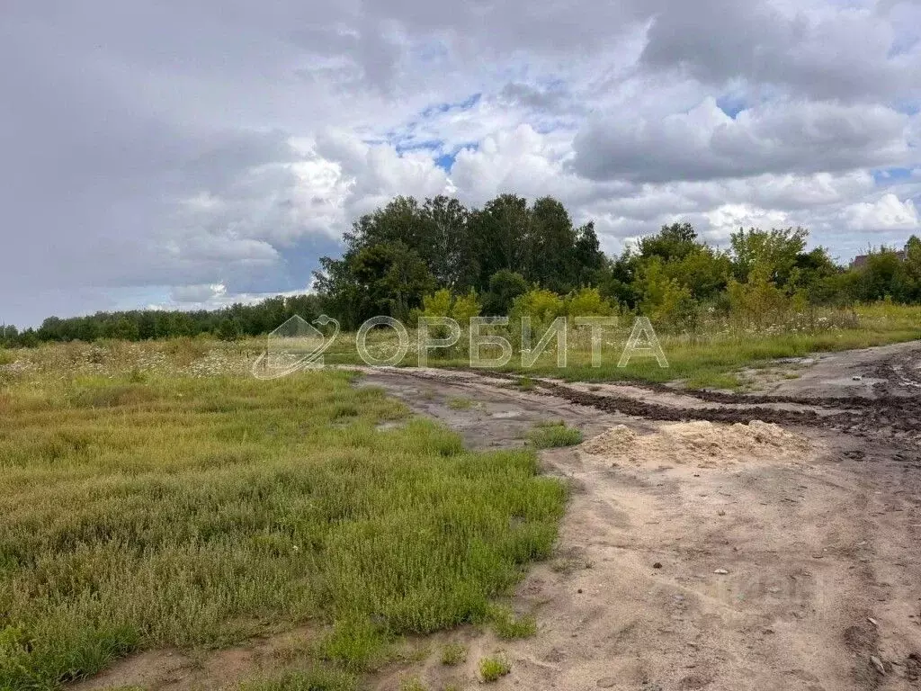 Участок в Тюменская область, Нижнетавдинский район, с. Тюнево  (9.2 ... - Фото 1