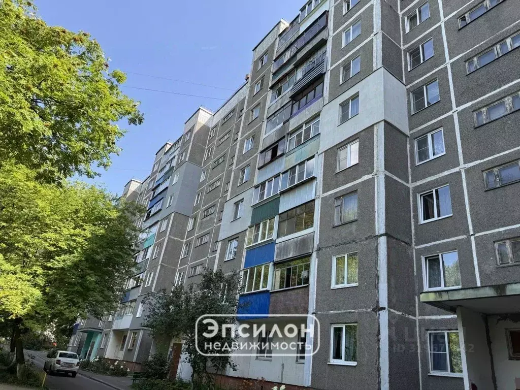 2-к кв. Курская область, Курск ул. Косухина, 13 (47.5 м) - Фото 1