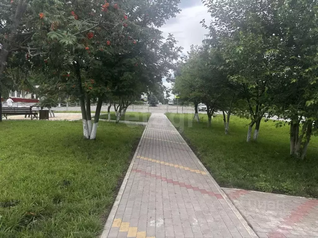 3-к кв. Воронежская область, Нижнедевицкий район, Вязноватовское ... - Фото 1