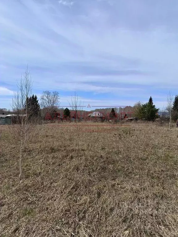 Участок в Новосибирская область, Мошковский район, пос. Кошево ... - Фото 2