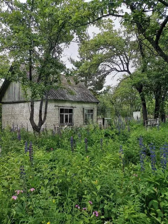 Купить Дачу В Ленинском Районе Смоленска