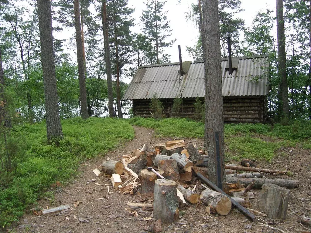 Дом в Карелия, Пряжинский район, Эссойльское с/пос, д. Курмойла  (25 ... - Фото 1