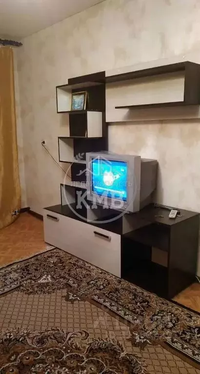 1-к кв. Ставропольский край, Минеральные Воды Железноводская ул. (29.0 ... - Фото 2