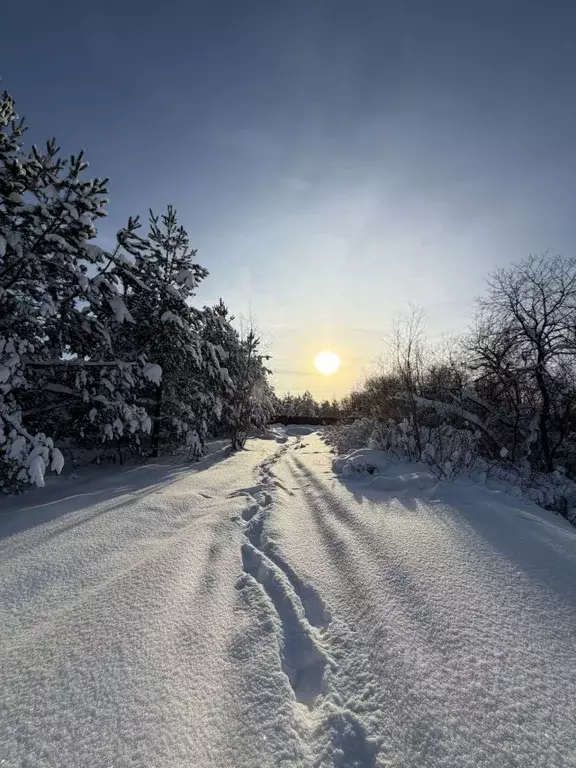 Участок в Кировская область, Кирово-Чепецкий район, Пасеговское с/пос, ... - Фото 1