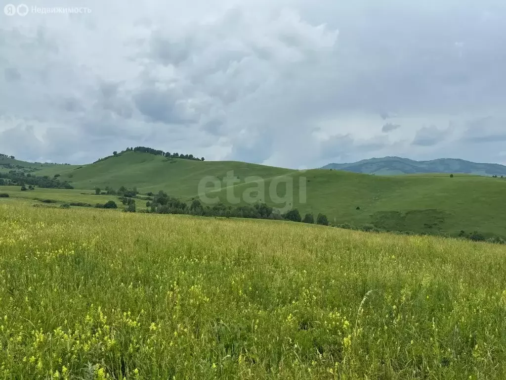 Участок в Алтайский район, ДНТ Жемчужина Алтая (10.5 м) - Фото 1