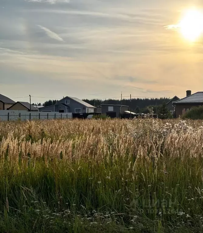 Участок в Татарстан, Нижнекамский район, Каенлинское с/пос, с. Борок ... - Фото 1