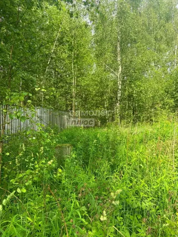 Участок в Московская область, Ступино городской округ, Станица ... - Фото 1