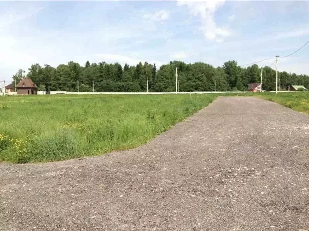 Участок в Ростовская область, Родионово-Несветайский район, ... - Фото 2