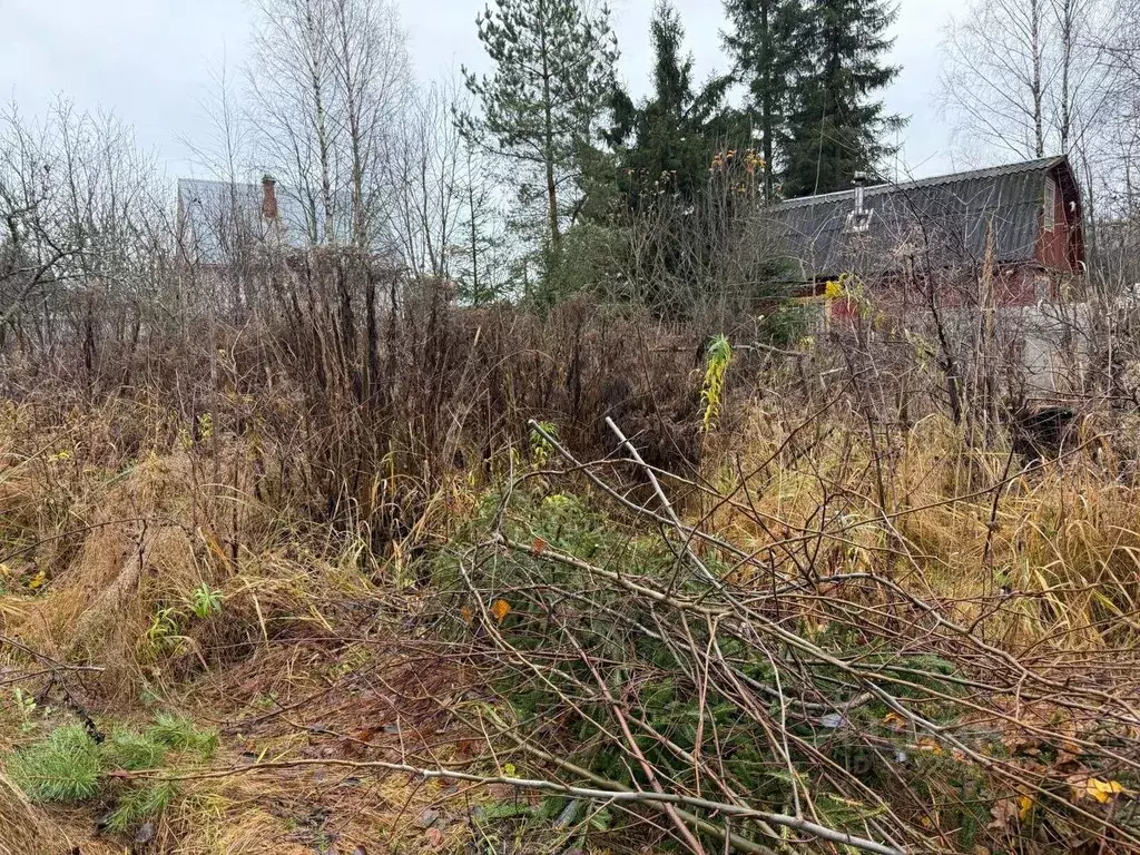 Участок в Ленинградская область, Выборгский район, Гончаровское с/пос, ... - Фото 1