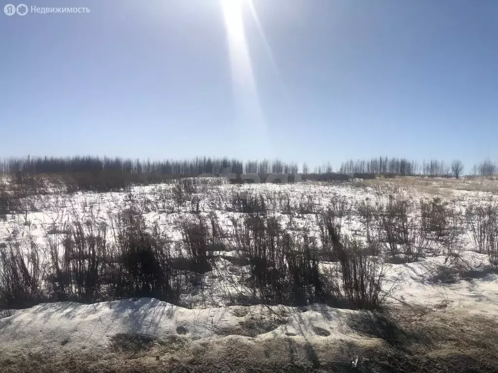 Участок в село Хотылёво, Центральная улица (20 м) - Фото 2