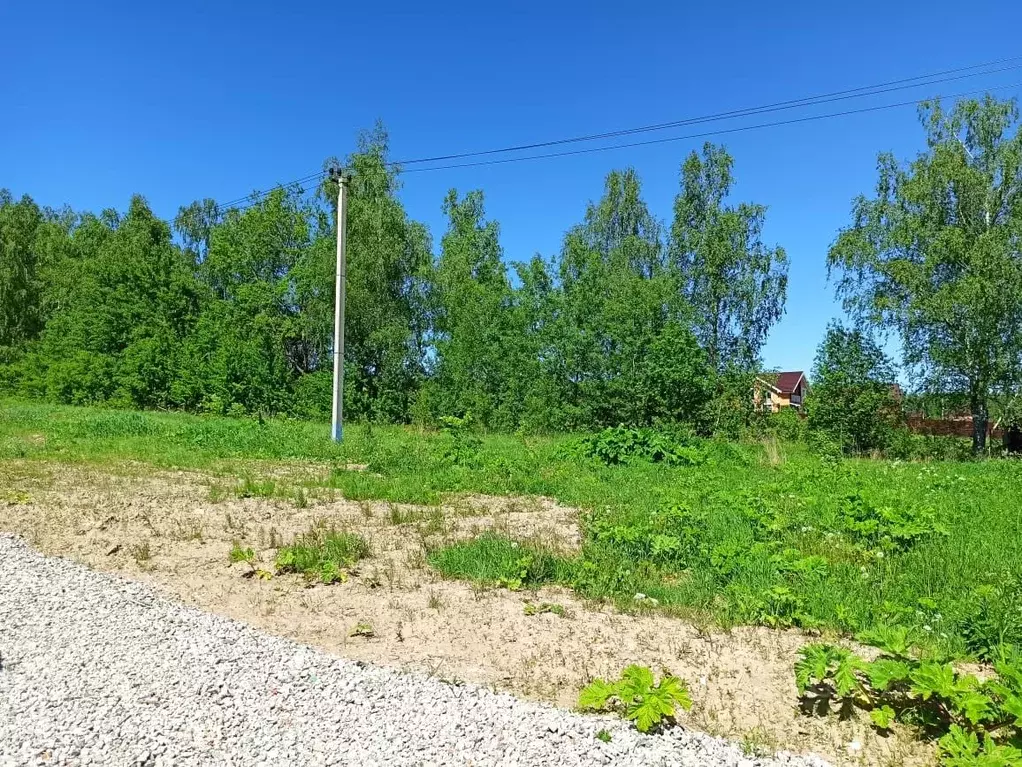 Участок в Московская область, Пушкинский городской округ, д. ... - Фото 2