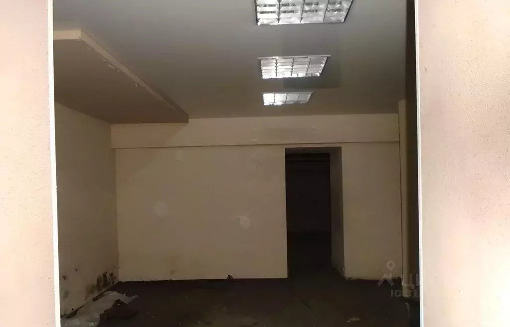 Помещение свободного назначения в Новосибирская область, Новосибирск ... - Фото 1
