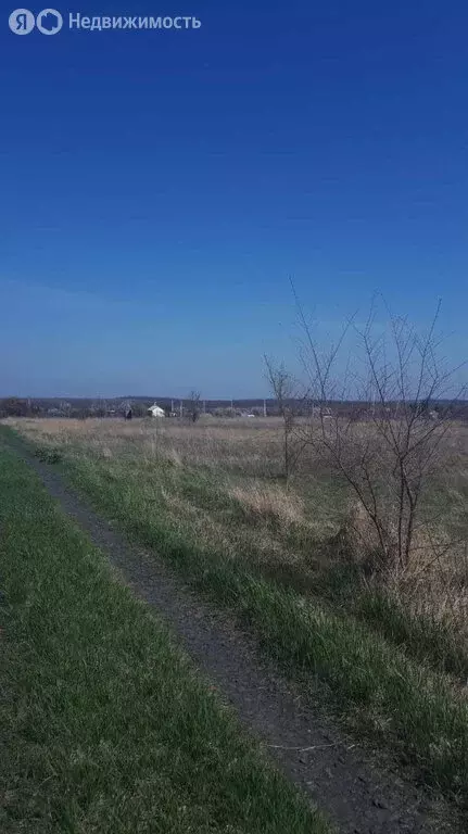 Участок в Ростовская область, станица Кагальницкая (8 м) - Фото 0