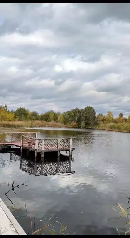 Свободного назначения - Фото 0