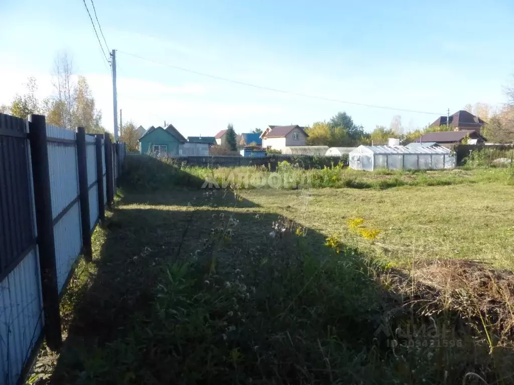 Участок в Новосибирская область, Новосибирск Сибирский авиатор СПК,  ... - Фото 0