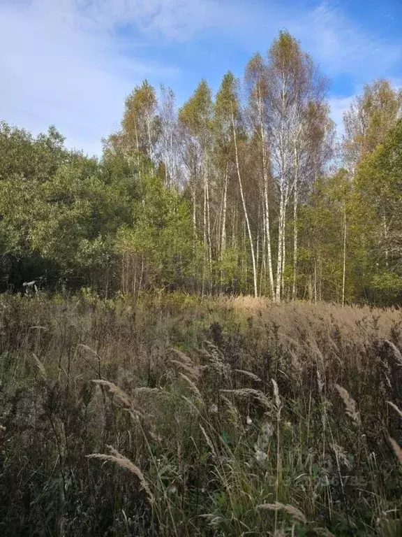 Участок в Московская область, Клин городской округ, д. Городище 69 ... - Фото 1