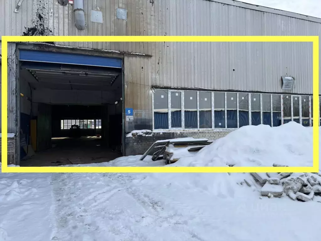 Помещение свободного назначения в Санкт-Петербург, Санкт-Петербург, ... - Фото 1