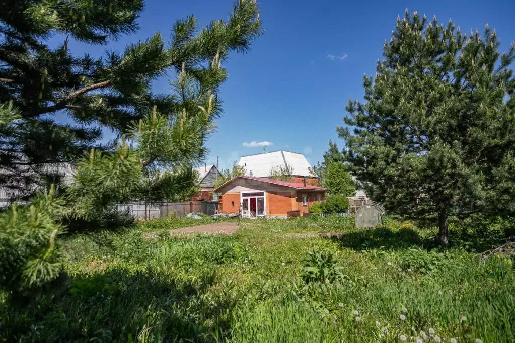 Участок в Новосибирская область, Искитим Береговая ул., 116 (8.15 ... - Фото 1