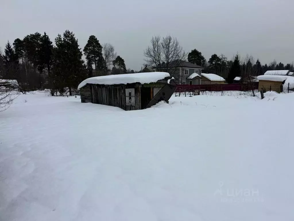 Участок в Московская область, Пушкинский городской округ, Лесной пгт  ... - Фото 2