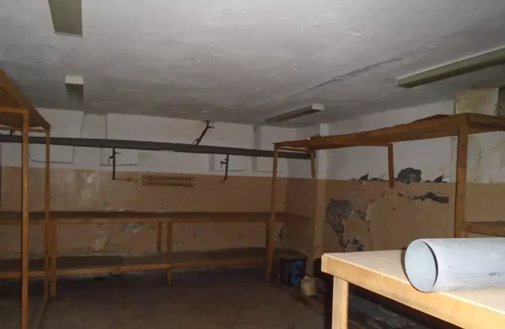 Помещение свободного назначения в Новосибирская область, Новосибирск ... - Фото 1