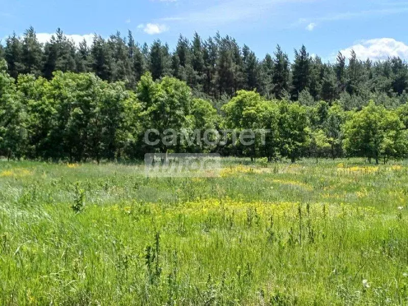 Участок в Курская область, Курский район, Новопоселеновский сельсовет, ... - Фото 2