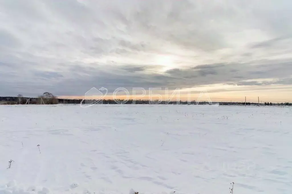 Участок в Тюменская область, Тюменский муниципальный округ, ... - Фото 2