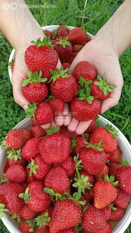 Дом в деревня Шмидтово, Школьная улица, 5 (70.8 м) - Фото 2