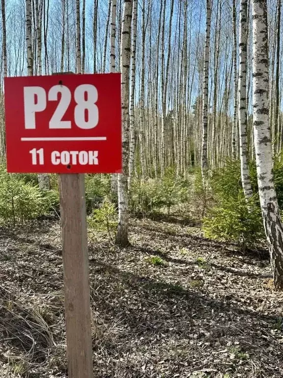 Участок в Московская область, Ступино городской округ, Шелково ТСН  ... - Фото 2