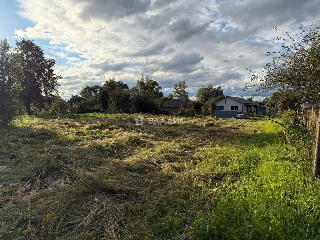 Участок в Владимирская область, Суздальский район, Боголюбовское ... - Фото 1