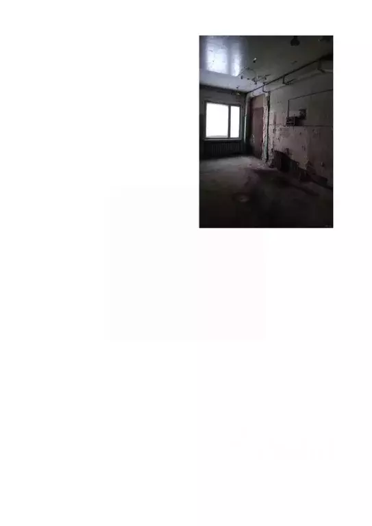 Помещение свободного назначения в Новосибирская область, Новосибирский ... - Фото 1