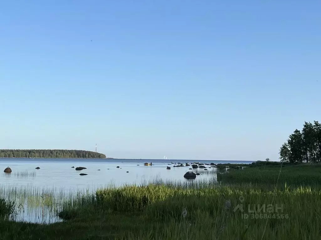 Участок в Ленинградская область, Выборгский район, Приморское ... - Фото 1