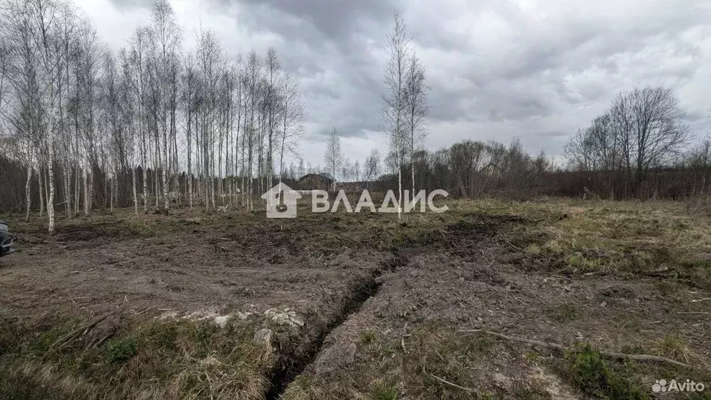 Участок в Ленинградская область, Всеволожск ул. Николая Брауна (13.0 ... - Фото 2