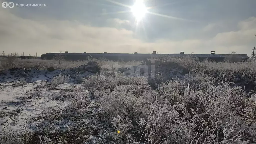 Участок в станица Ессентукская, Жемчужная улица (290 м) - Фото 2