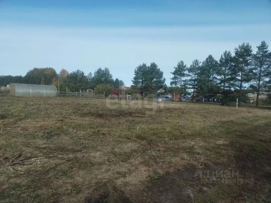 Участок в Вологодская область, д. Новое (Борисовский сельсовет)  (19.0 ... - Фото 2