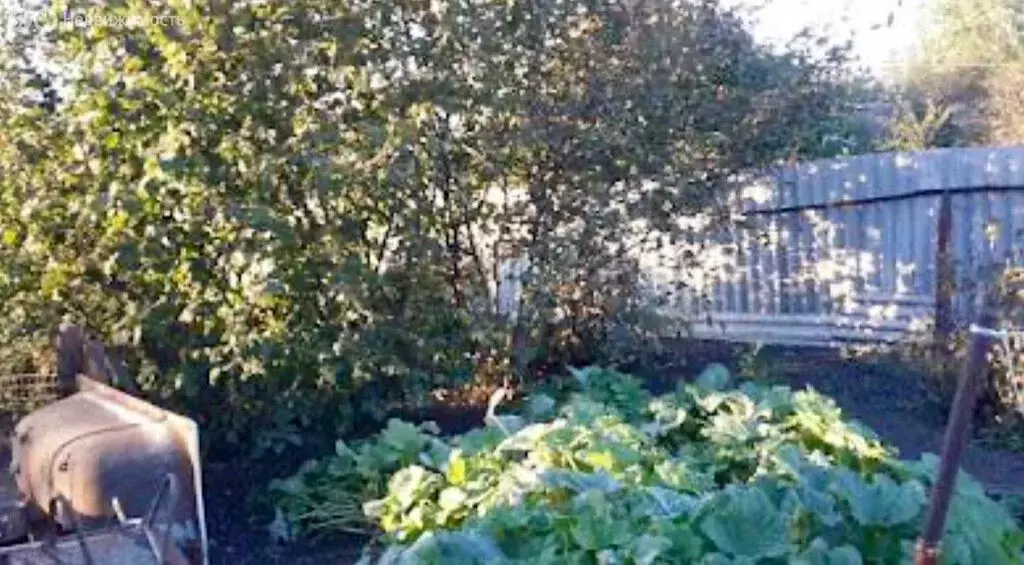 3-комнатная квартира: село Краснополье, Центральная улица, 35 (47 м) - Фото 1