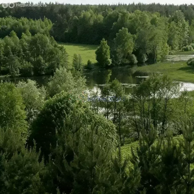 Участок в городской округ Нижний Новгород, деревня Кривая Шелокша (470 ... - Фото 1